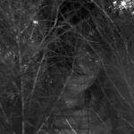 Mimi Allard - portrait