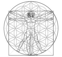 komorebi-vitruvian-man-davinci