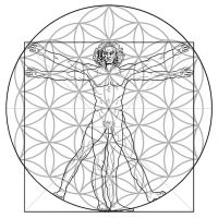 komorebi-vitruvian-man-davinci